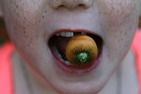 carrot from the garden