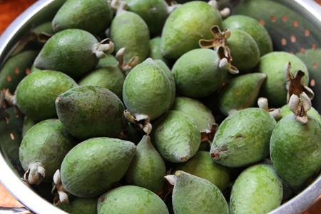 pineapple guava fruit