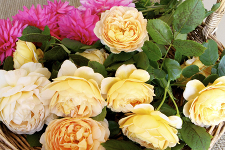 Golden Celebration Roses and Pom Pom Dahlias