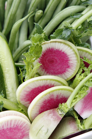 Garden watermelon radishes