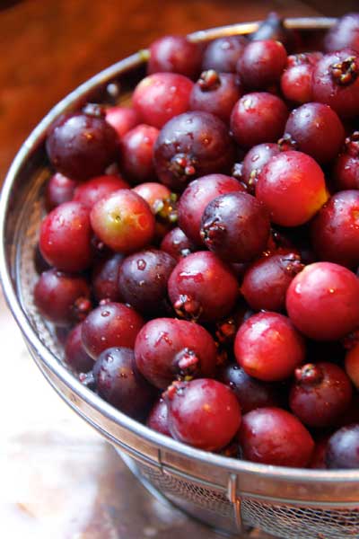 cherry guavas in bowl