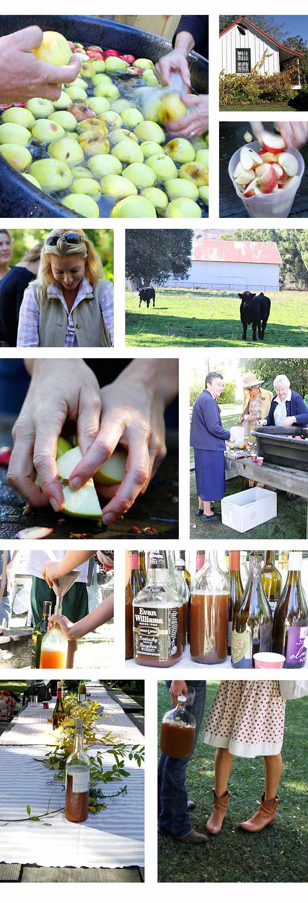 apple-cider-press-party-collage