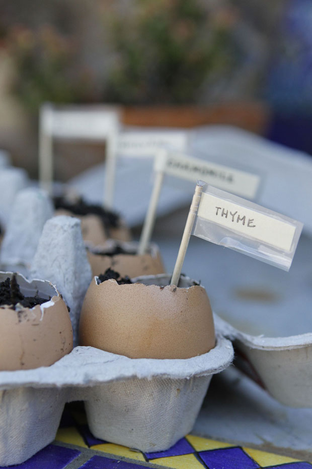 planting egg shells