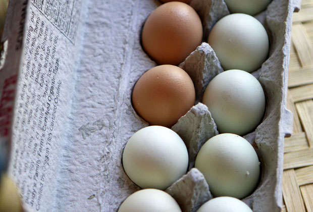 fresh farm eggs