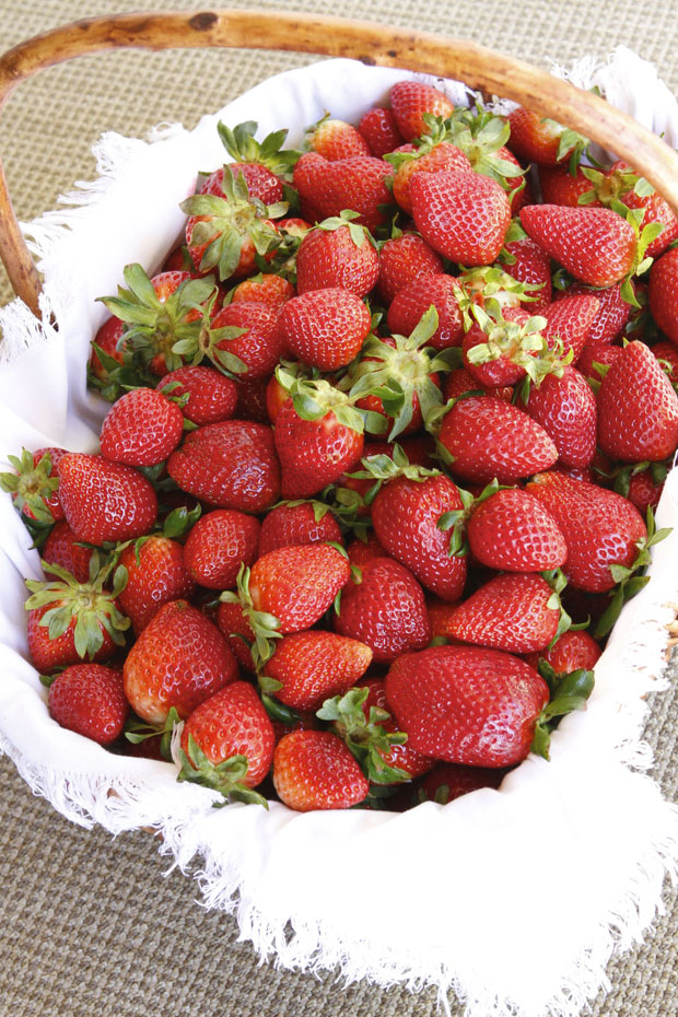 garden fresh strawberries