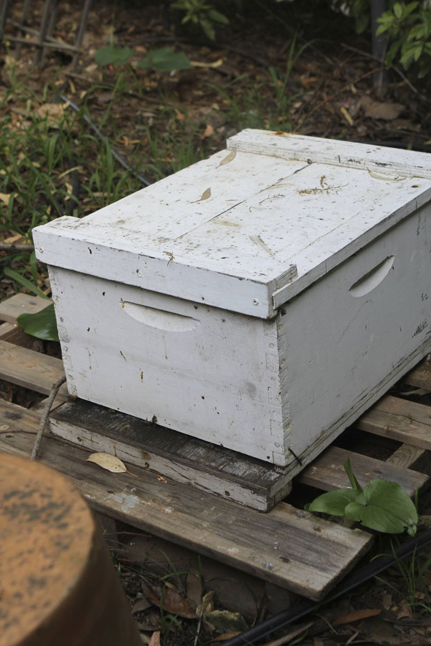 box for bees