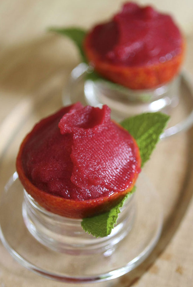 blood orange sorbet