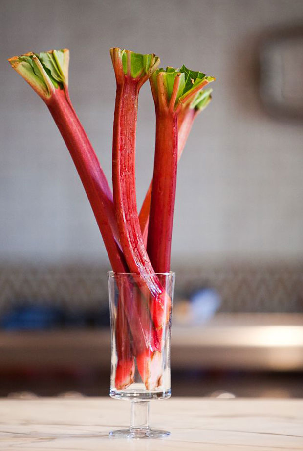 rhubarb stalks