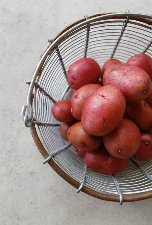 potato salad