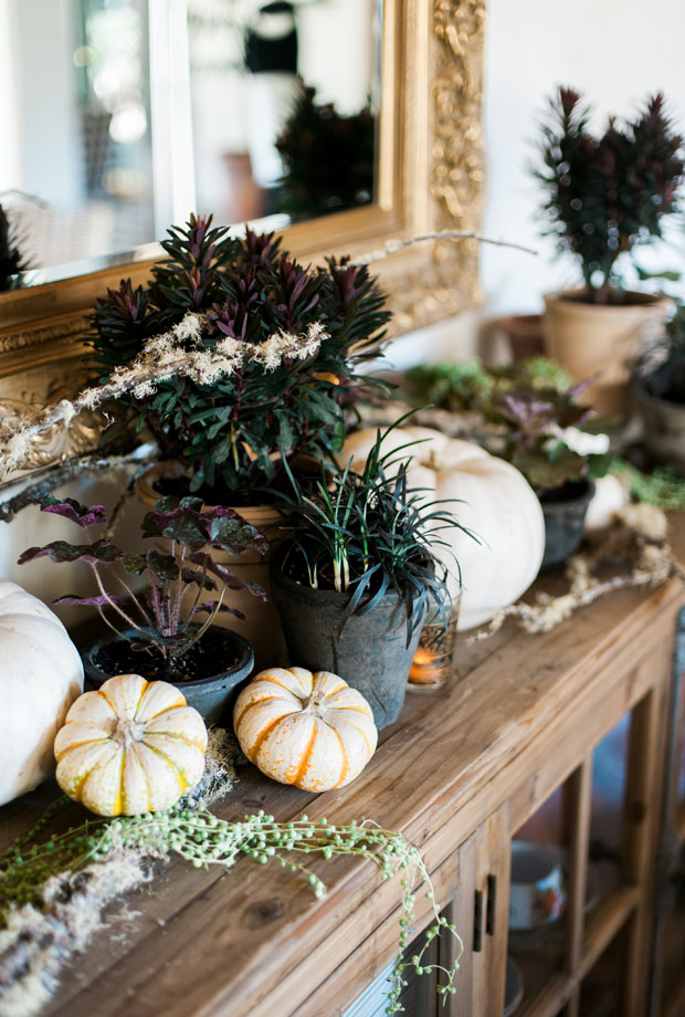 natural halloween decor