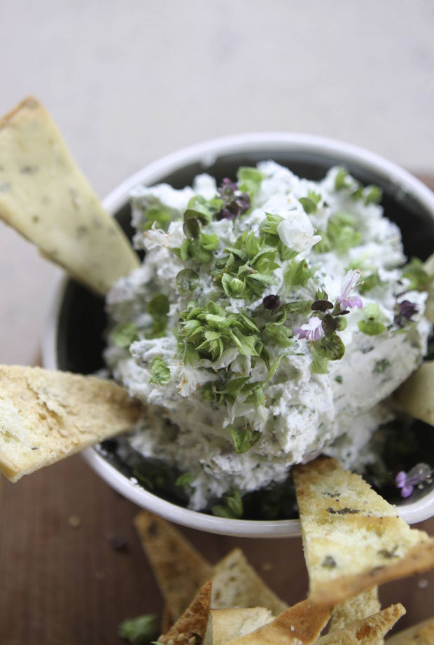 goat cheese dip