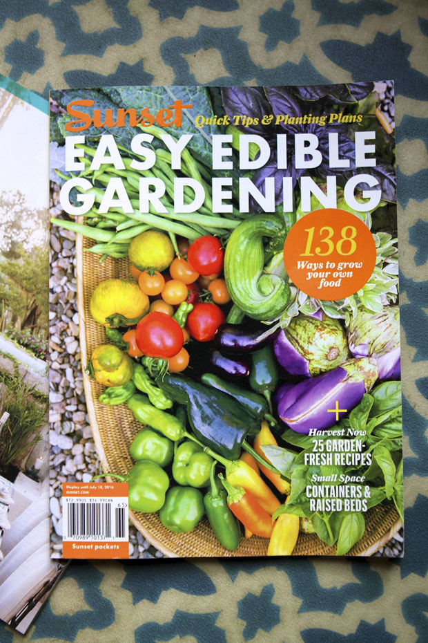 edible garden